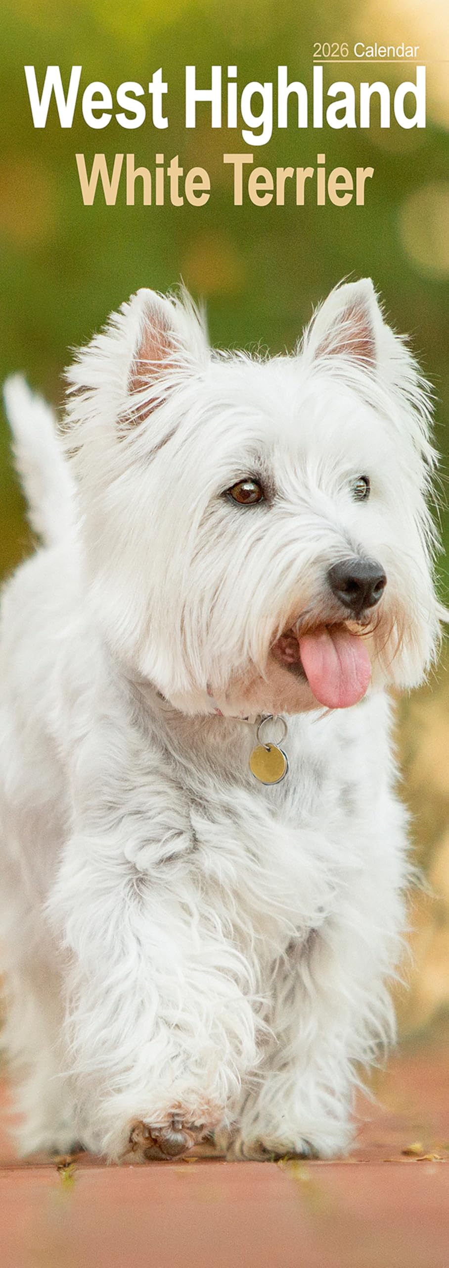 West Highland Terrier Slim 2026 Calendar | Slimline Wall Multicolor
