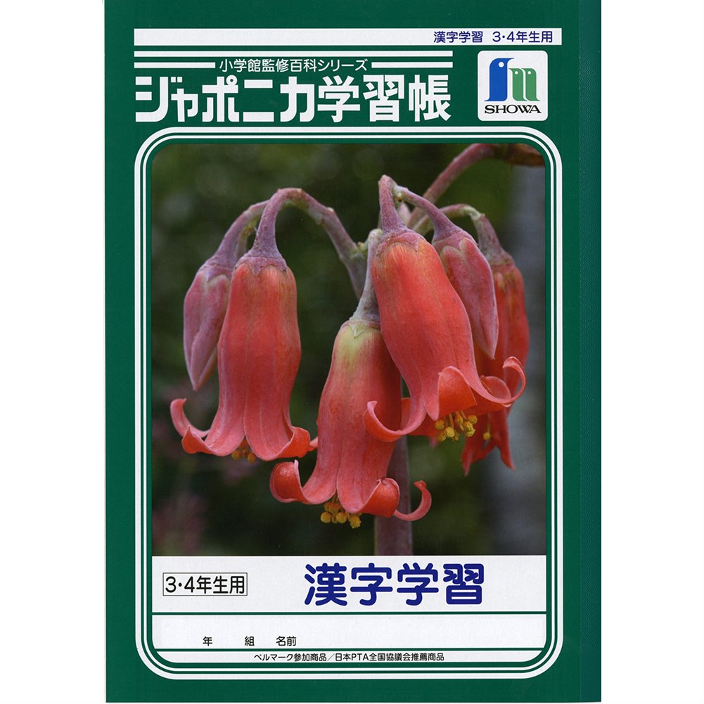 Amazon.co.jp: ショウワノート 学習帳 ジャポニカ 漢字学習 3・4