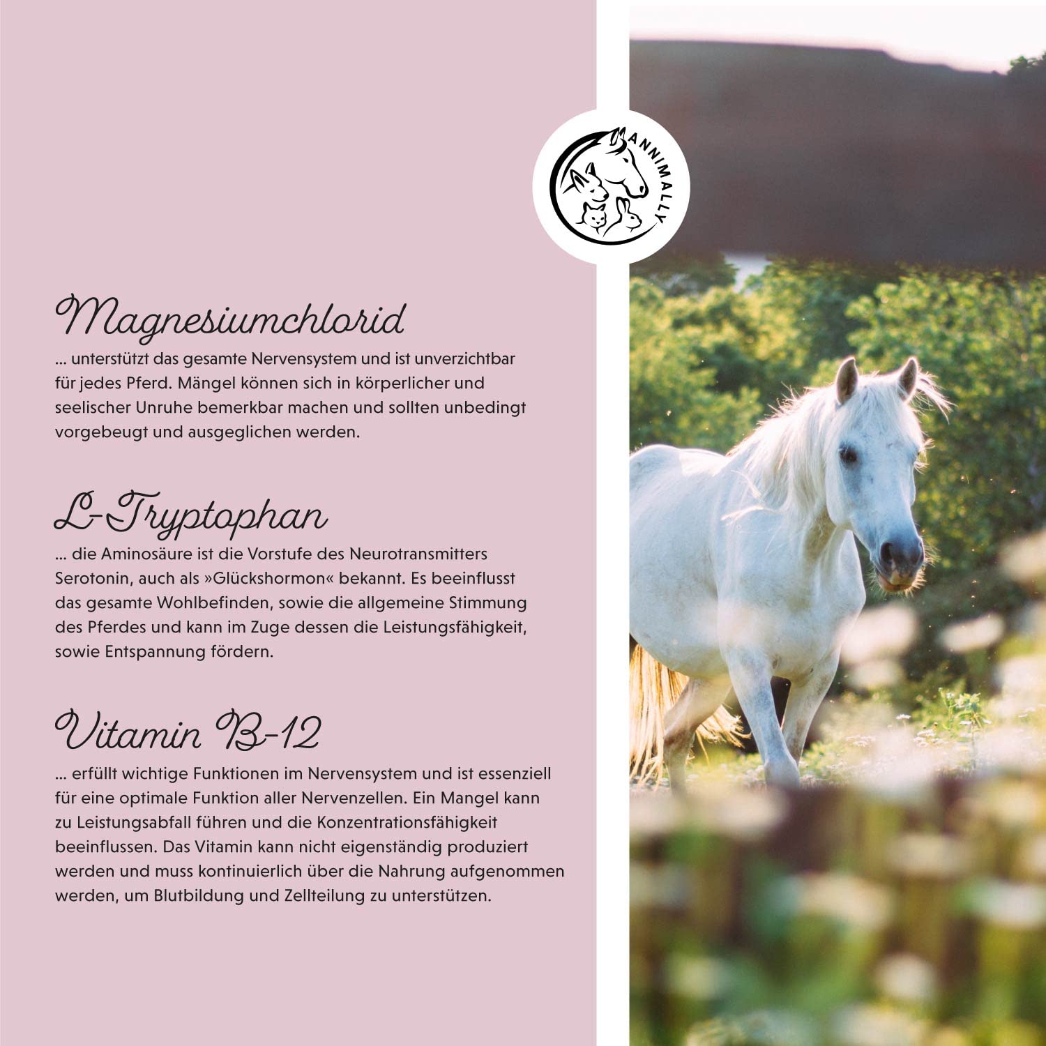 Annimally Relax Liquid für Pferde 1000ml Nervensaft zur Beruhigung beim Pferd mit Baldrian, Hopfen, Tryptophan, B12, Magnesium & Calcium flüssig - Gegen Angst, Stress & für Transport