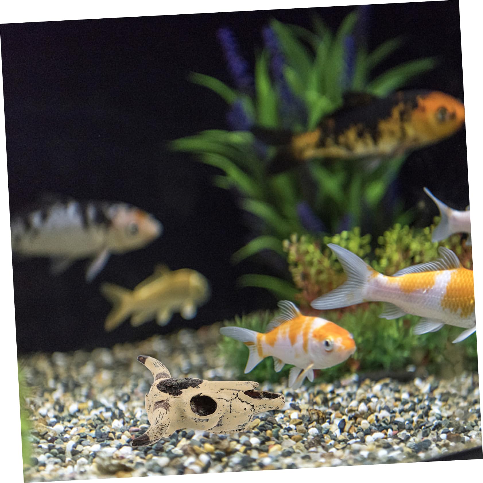 Happyyami 4pièces Décoration Résine De Crâne De pour Aquarium Accessoire Décoratif pour Réservoirs De Reptiles Et Poissons Aménagement Paysager Espace De Cachette pour Animaux