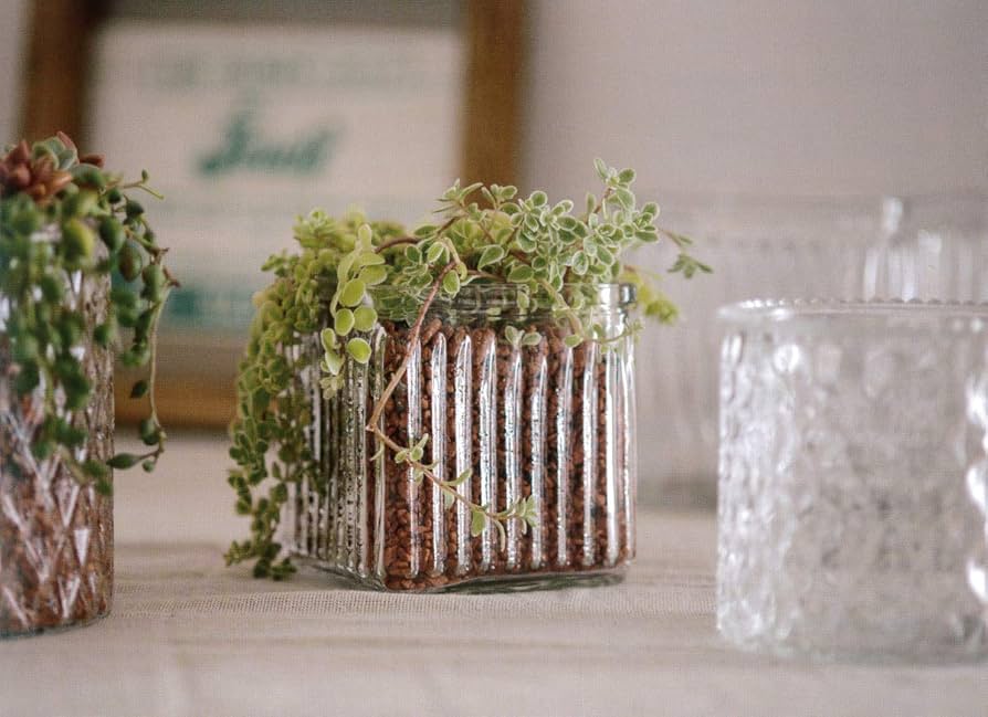 Amazon.co.jp: POSH LIVING フラワーベース ガラスポット 丸型 22547