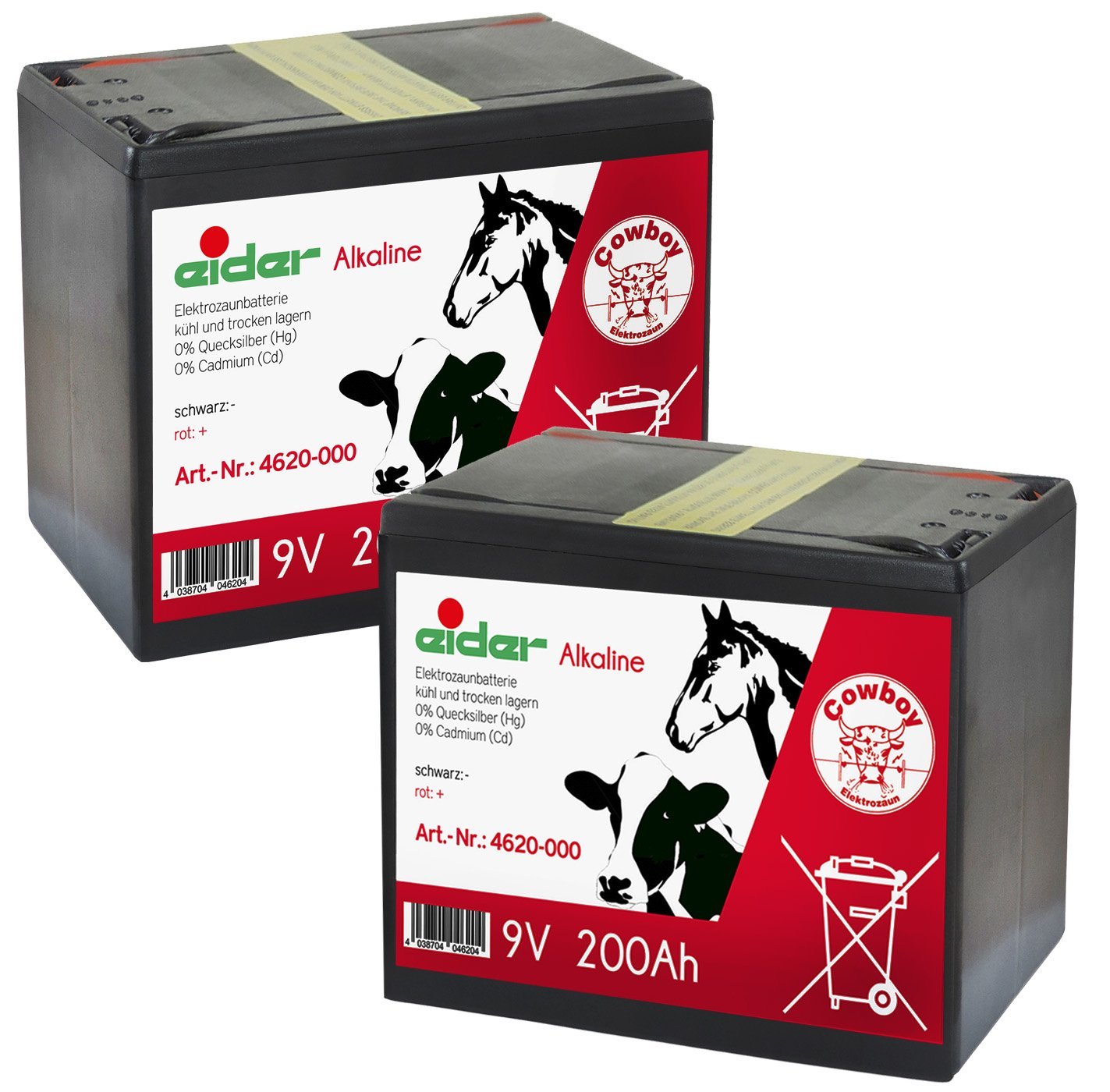 Eider Podwójne opakowanie: 2 x baterie alkaliczne 9 V 200 Ah - bardzo d?ugi czas pracy przy niskim zu?yciu energii - zakup dwupak