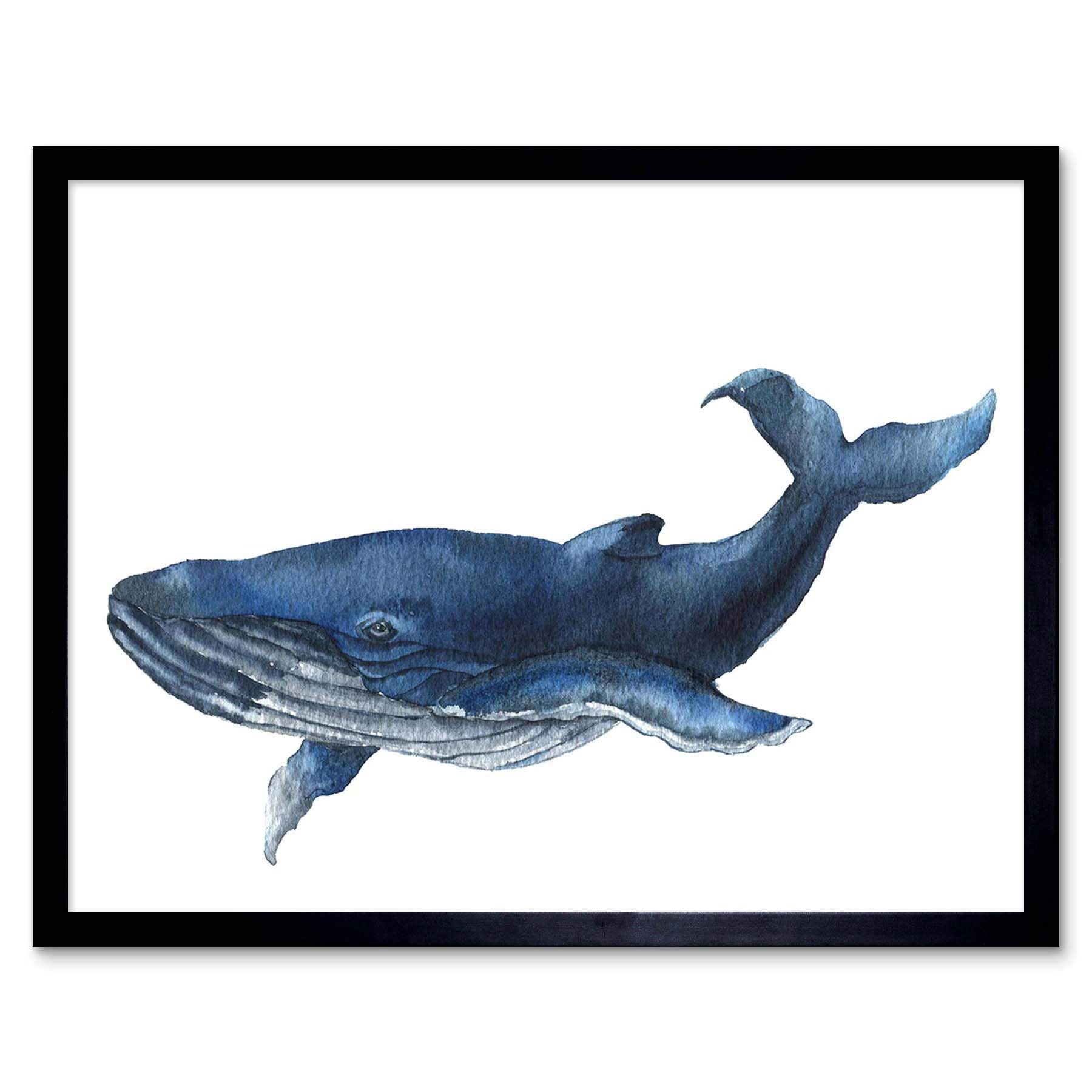 Wee Blue Coo Framed Black Blue Whale Watercolour Art Print Framed Poster Wall Decor 12X16 Inch