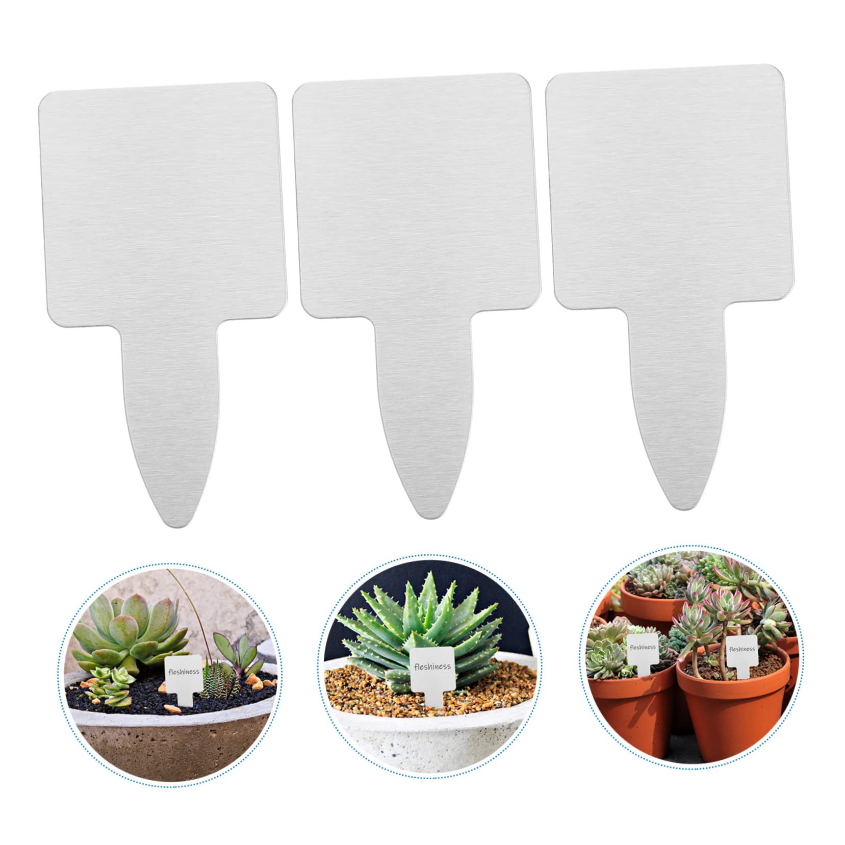 YARNOW 50pezzi Etichettatura Piante Acciaio Inossidabile Da Resistente e Riutilizzabile Per Giardinaggio e Decorazione Esterna Facile Da Scrivere e Installare