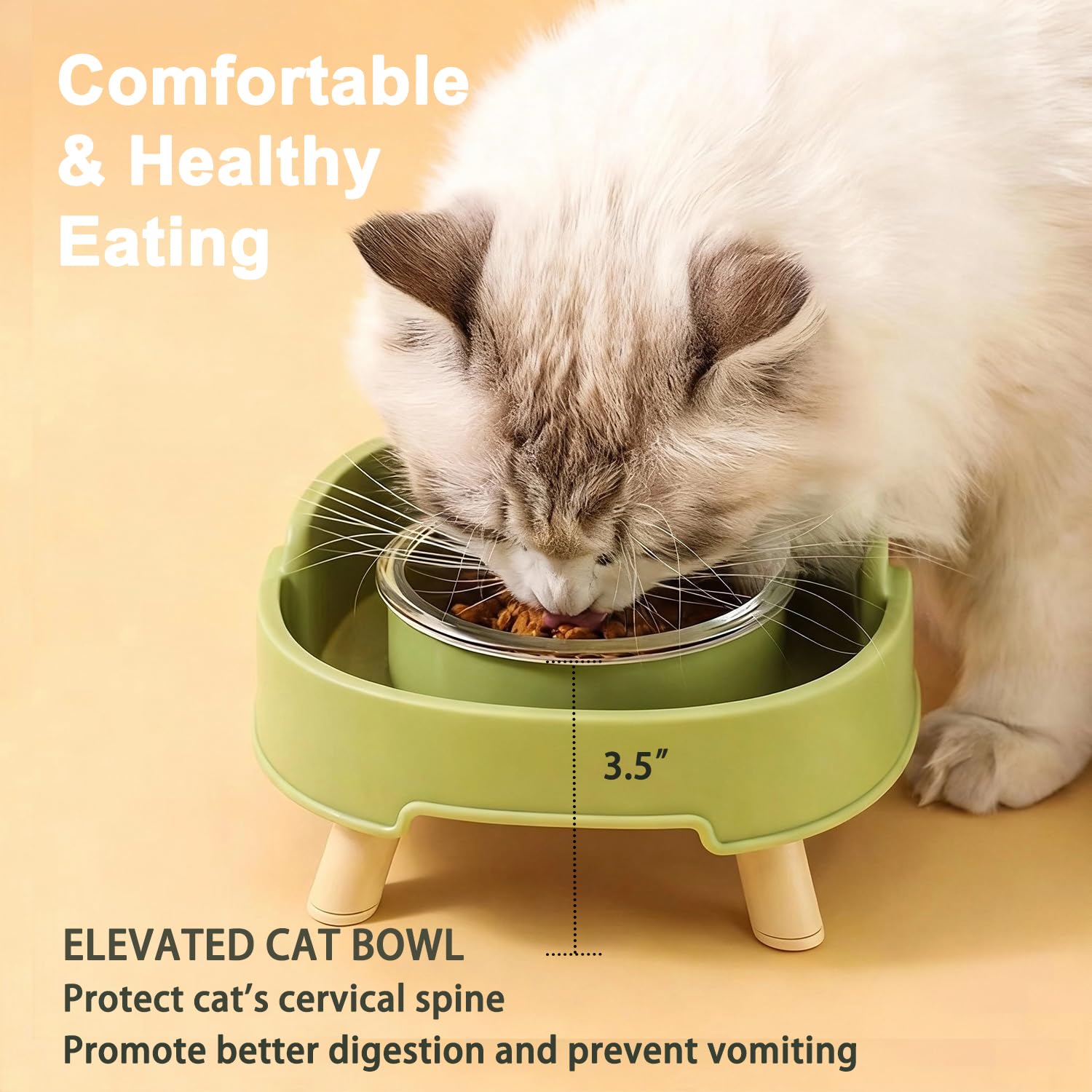 Ciotola per cibo per gatti a prova di formiche, piatto rialzato in vetro per animali domestici con supporto profondo anti-formiche, senza stress, ciotole per cibo e acqua, per gatti e cani di piccola