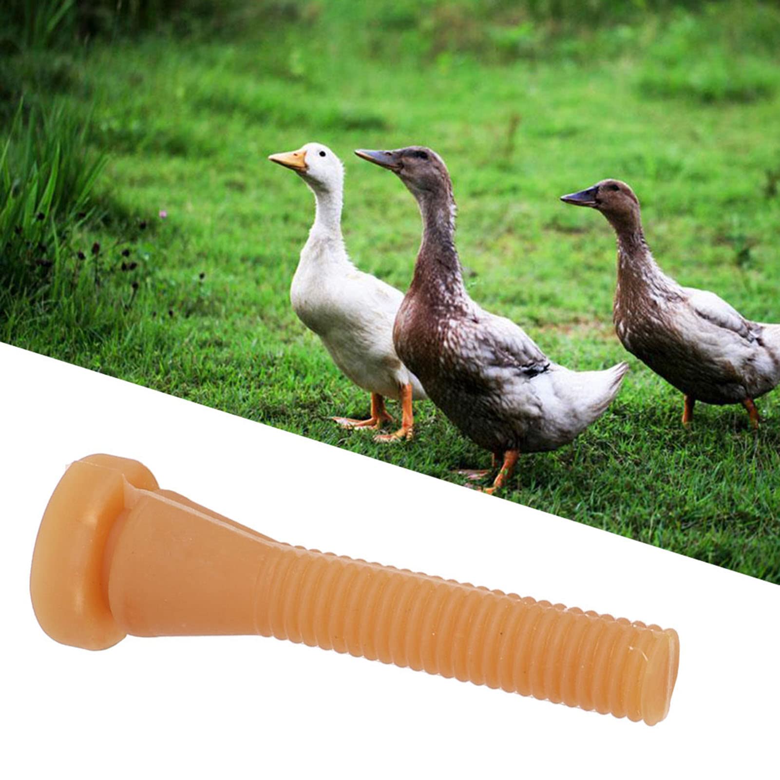 Plume de Poulet, Plume de Poulet, 96 Doigts de Cueillette de Plumes pour Plume de Dinde de Canard