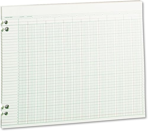 Wilson Jones WLJG3024 - Papel de contabilidad columnar verde, formato de doble página, 24 columnas y 36 líneas por página, 11 x 14 pulgadas, 100