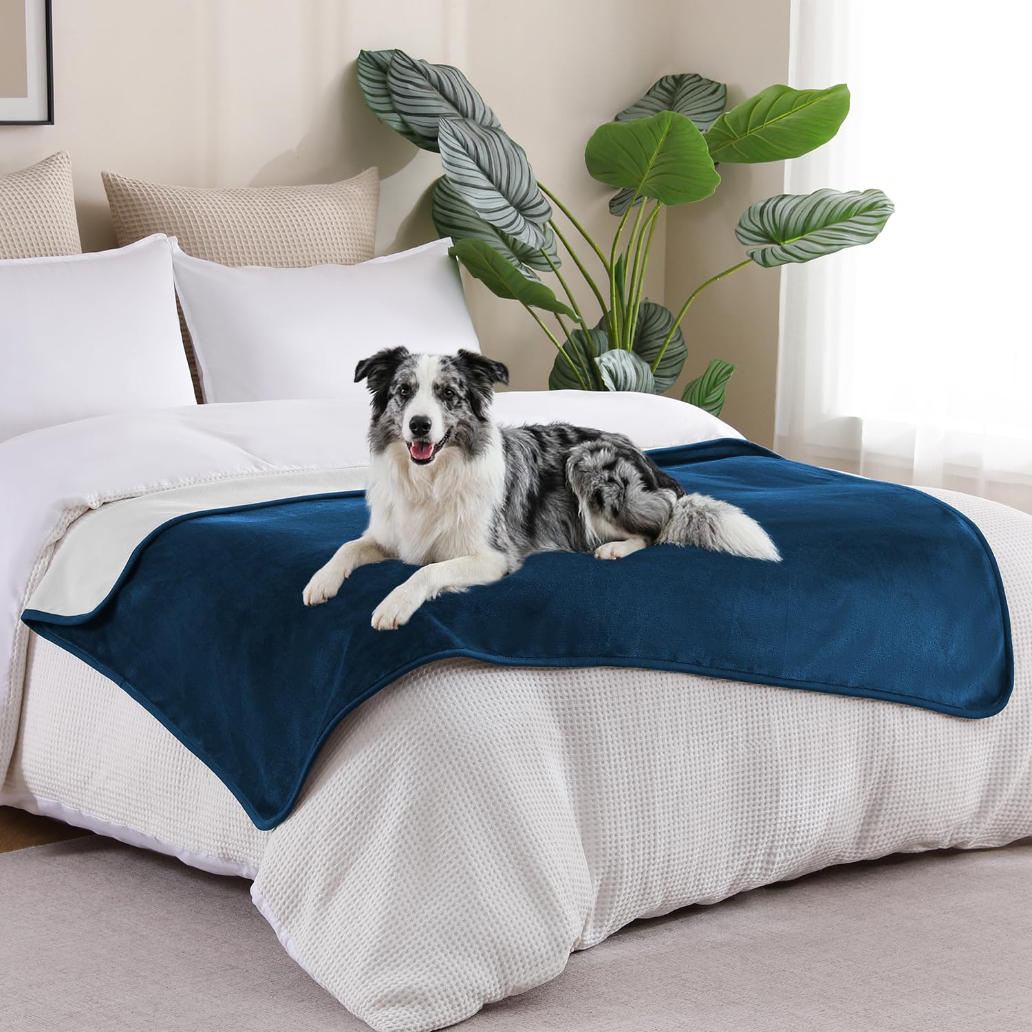 Coperta impermeabile 101 x 152 cm per adulti, reversibile, impermeabile, per cani, gatti, animali domestici, morbida coperta a tenuta stagna per letto, divano, protezione per mobili, blu navy