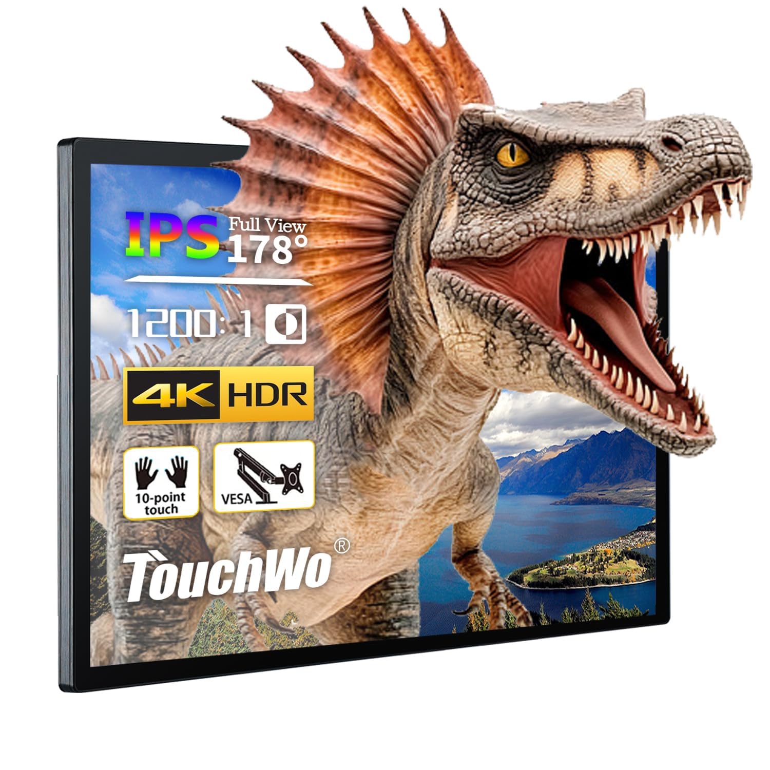 TouchWo 65 Inch Touch Monitor