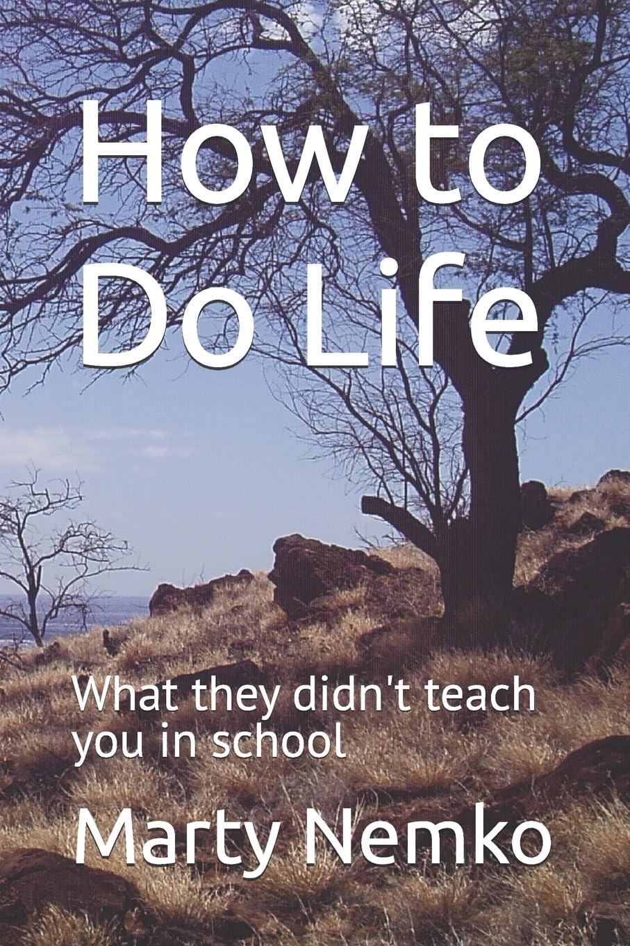 How to Do Life: What they didn't teach you in school