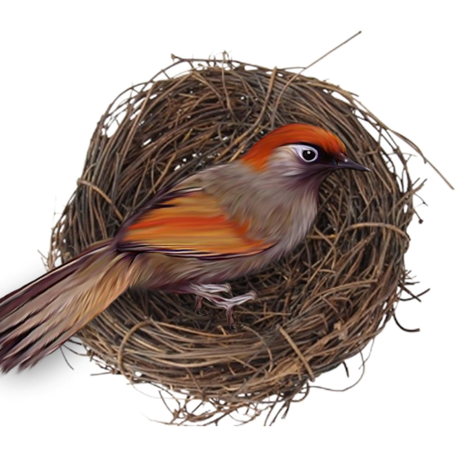 Nido de pájaros – Nido de loro tejido hecho a mano | Base plana para animales pequeños para jardín, accesorios de jaula de pájaros para hábitat, cabaña de césped natural para pinza, periquito, canario — view 8