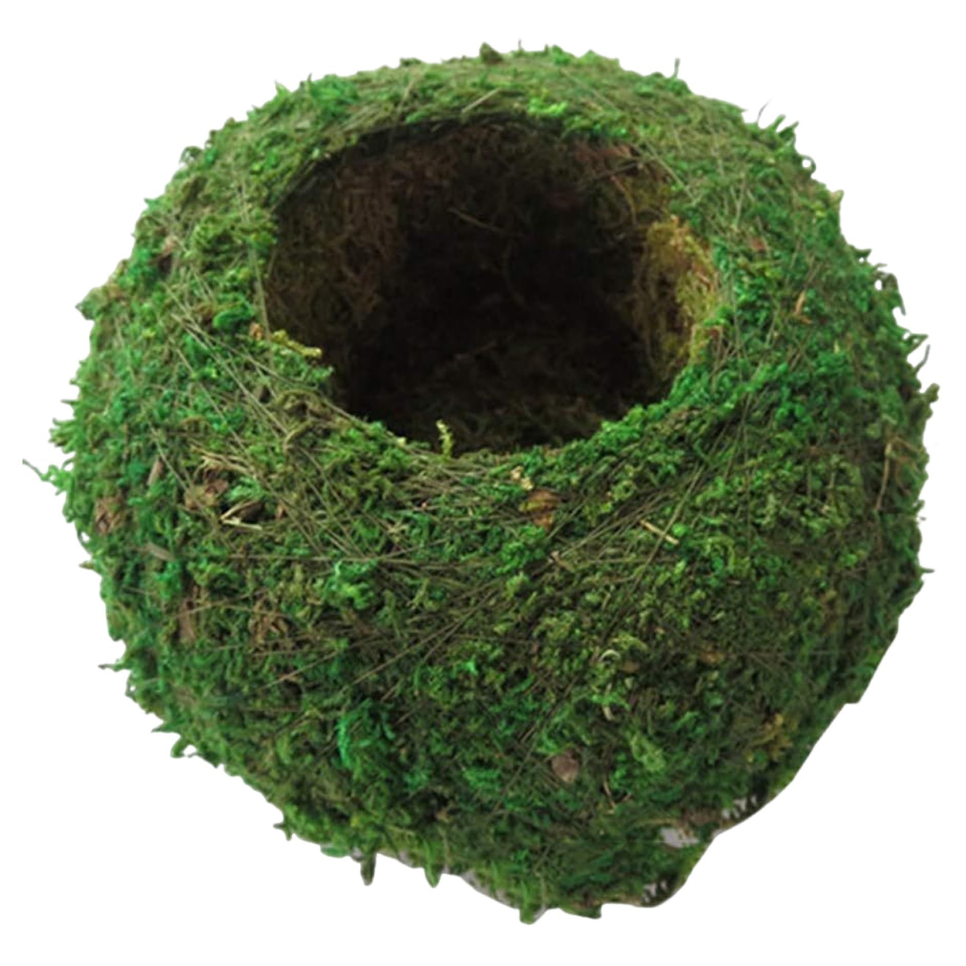 Whyzsjnclg Moss Ball 6 Inch Natural Planter Bonsai for DIY Gardening Home Table Decoration, Green