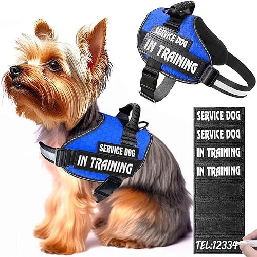 Chaleco de servicio para perro, 8 parches para perros, arnés para perro de servicio sin tirones con asa, chalecos reflectantes personalizados con 1