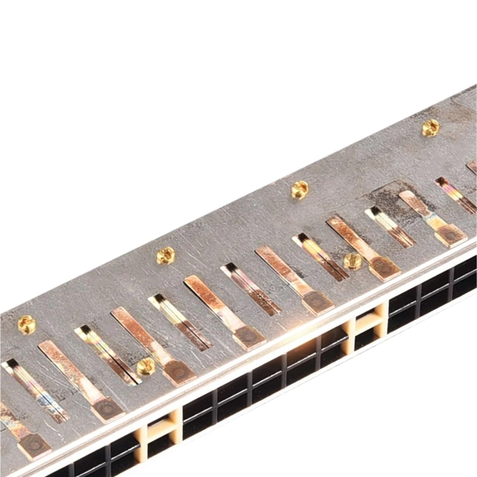 Harmonijka Dla Dorosłych 28 otworowy diatoniczny instrument dla początkujących w tonacji C-dur(Bk)