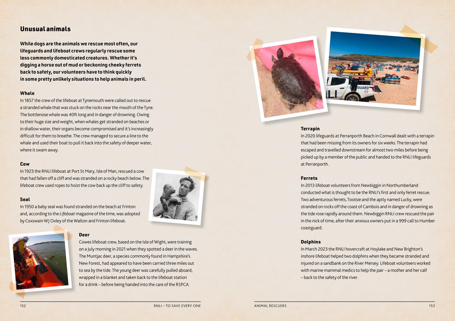 To Save Every One: 200 years of RNLI courage: the official and definitive illustrated history of the RNLI (Lifeboats)
