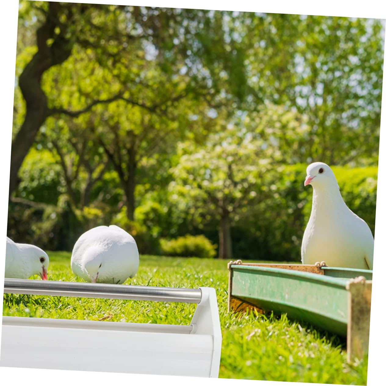 2piezas Comedero para De Comedero para Loros y Pájaros Hecho De Material Plástico Resistente para Uso Jardines o Terrazas Suministros para Aves y Contenedores para Almacenar Comida