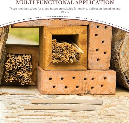 Miniatura 4 de GANAZONO 500 tubos de nido de abeja para nido de abeja, tubos de repuesto para casa de abejas, tubos de repuesto reemplazables para abejas, tubos de