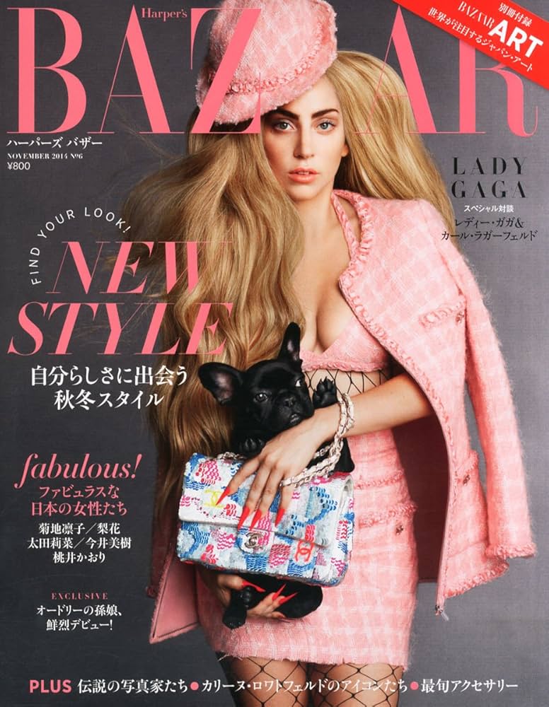 Harper's BAZAAR (ハーパーズ バザー) 2014年 11月号 |本 | 通販