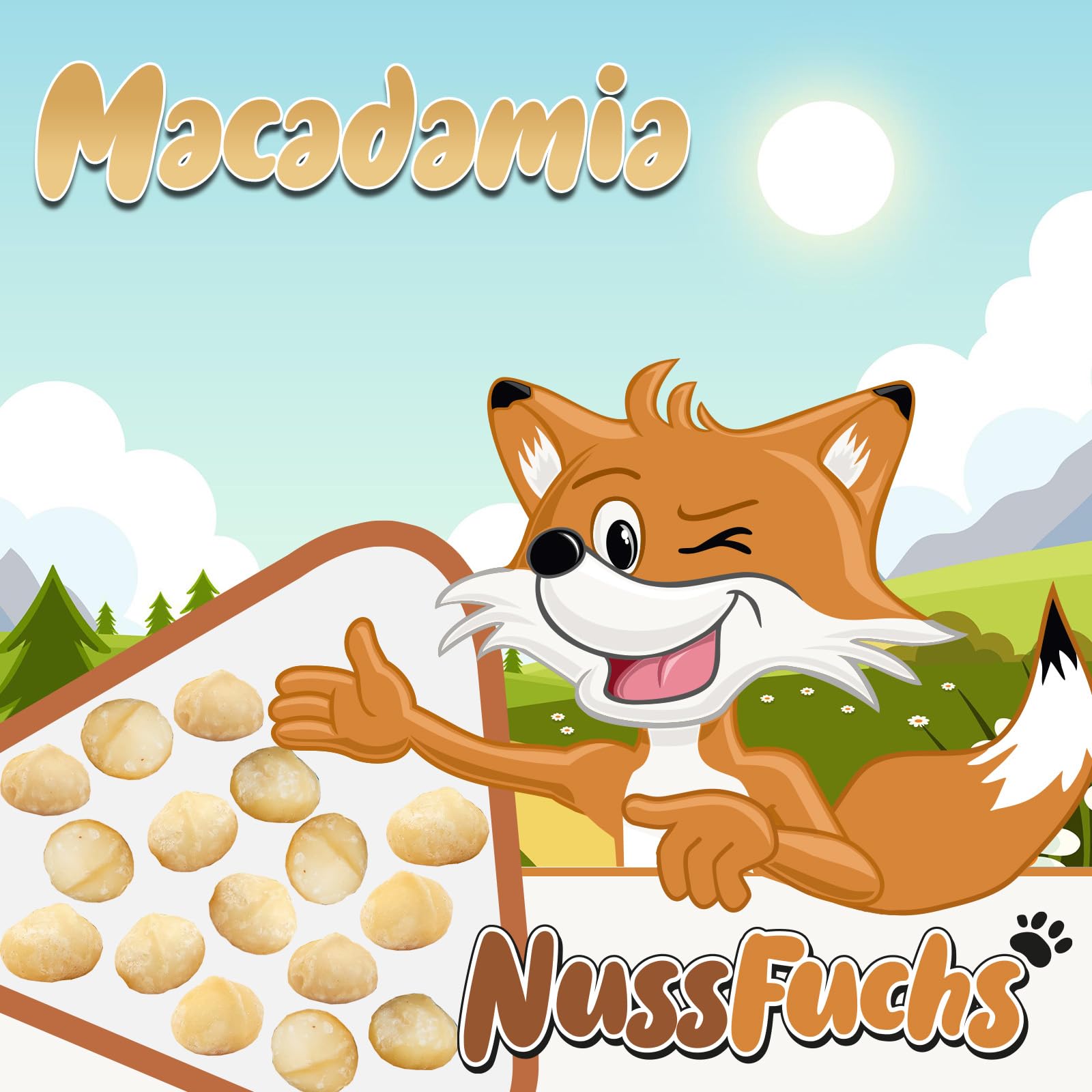 Macadamia Nüsse 1,5kg Macadamianüsse ungeröstet & ungesalzen ganze Macadamia Nusskerne roh ungesalzen naturbelassen unbehandelt knackige Macadamia Nüsse in Rohkostqualität - (1,5kg)