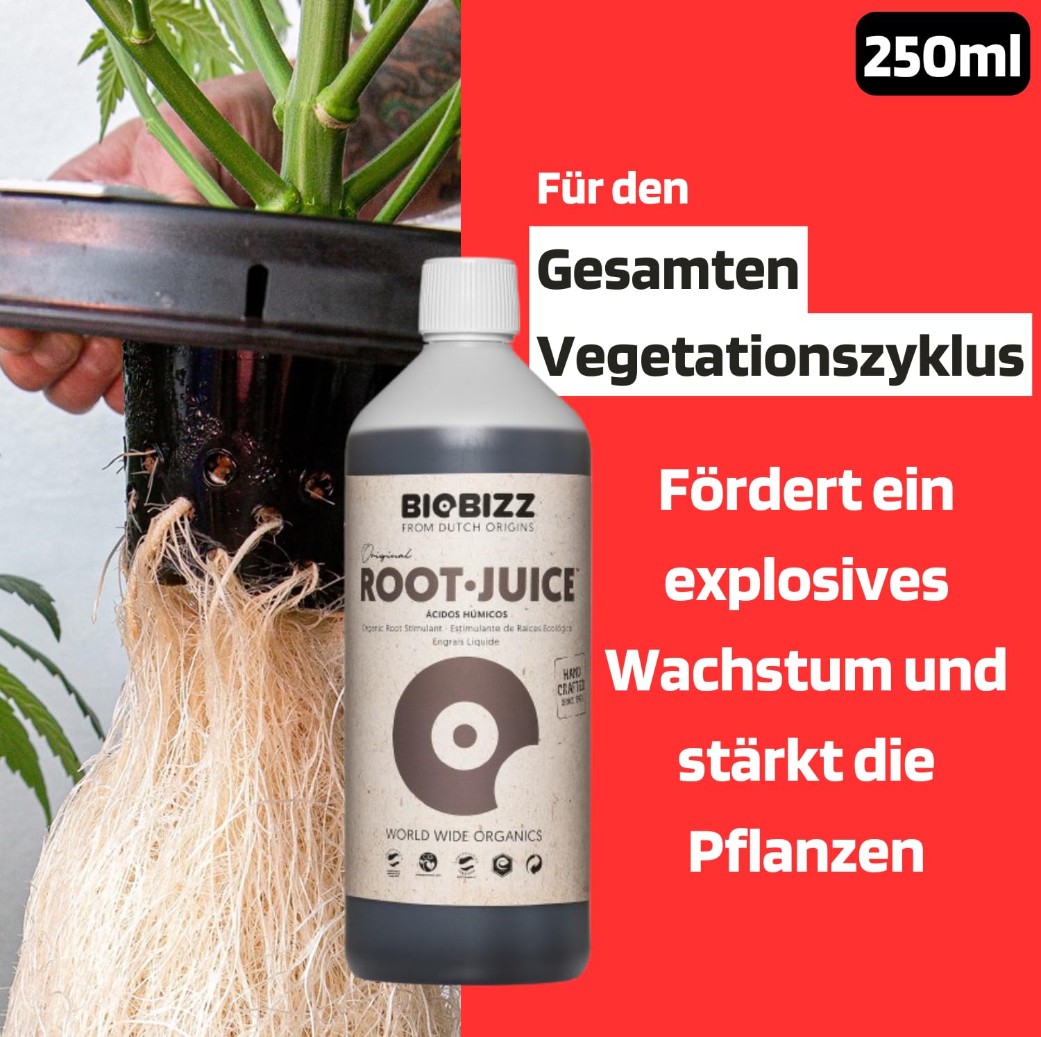 Starter Pack Biobizz Dünger Set | Starterset GrowSet Indoor | Naturdünger | Flüssiger | Wachstum und Blüte | 100 % organisch | Für 10–30 Pflanzen | Für Anfänger geeignet | Einfache Anwendung