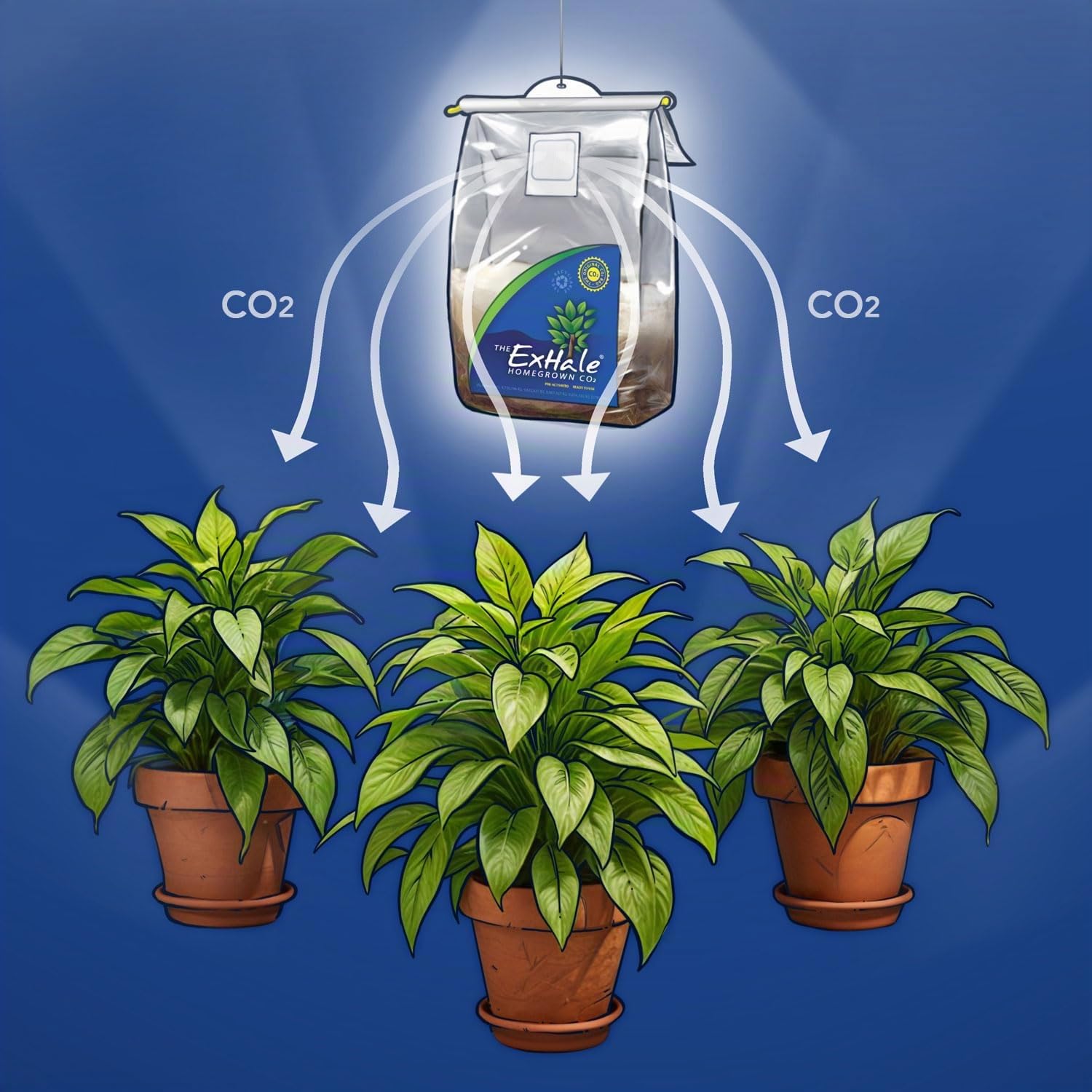 ExHale CO2 für Zimmerpflanzen