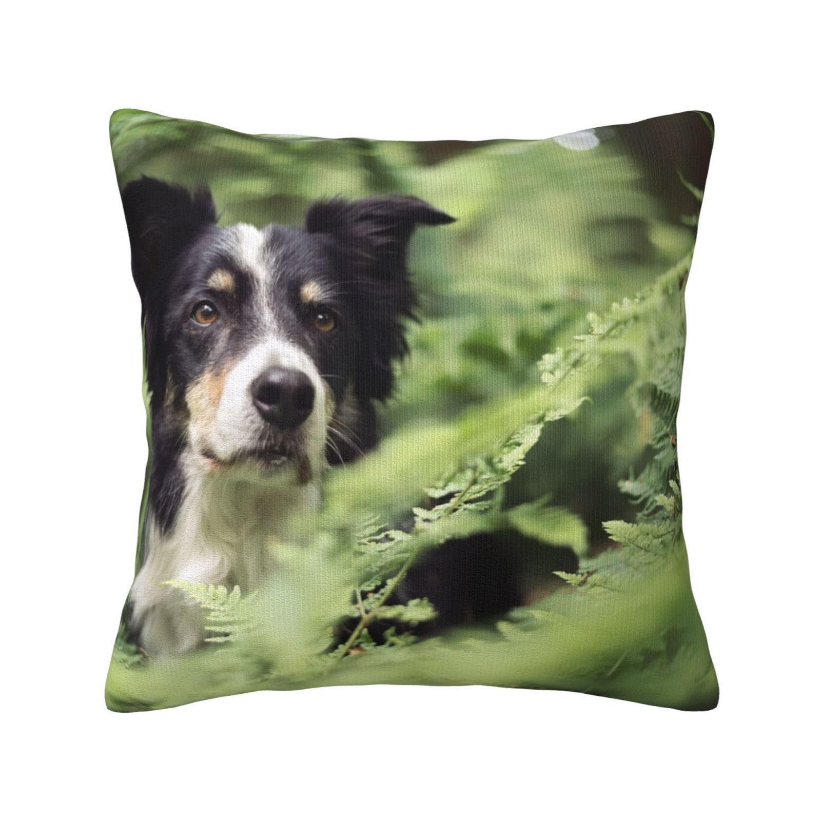 Inomak As Picture Border Collie Dogs Bokeh Pets Black White, Throw Pillow Cover Decorative Polyester Pillowcase Soft Cushion Covers 45X45 Cm