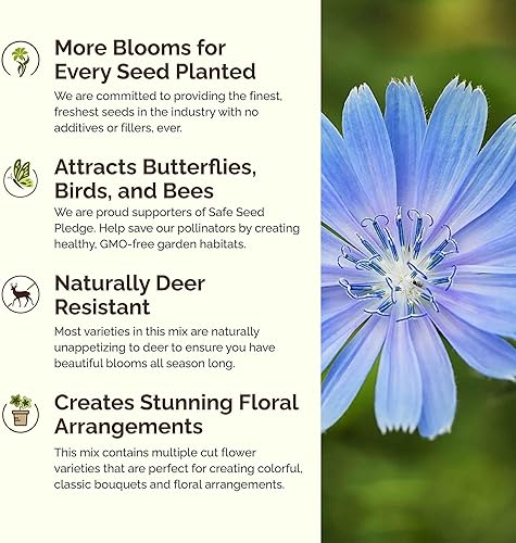 Miniatura 10 de Eden Brothers Poppy Power Flower - Semillas mixtas para plantar, 1 libra, más de 480,000 semillas con maíz rojo, Islandia, amapola de California.