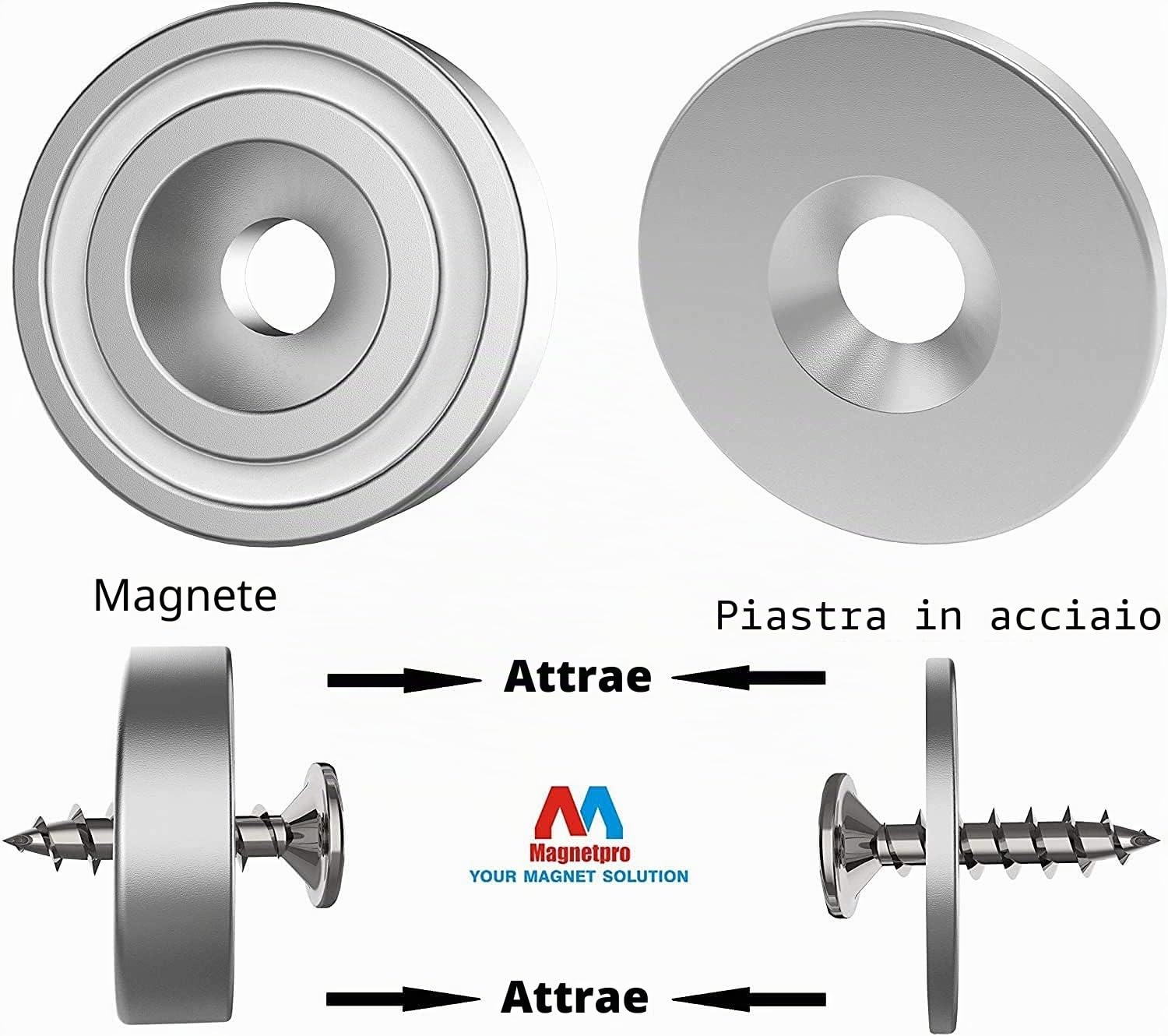 Magnetpro 6 pezzi magneti 10 KG forza 20 x 7 mm con foro e capsula, magnete al neodimio con base in acciaio svasato con viti e 6 cuscini in acciaio