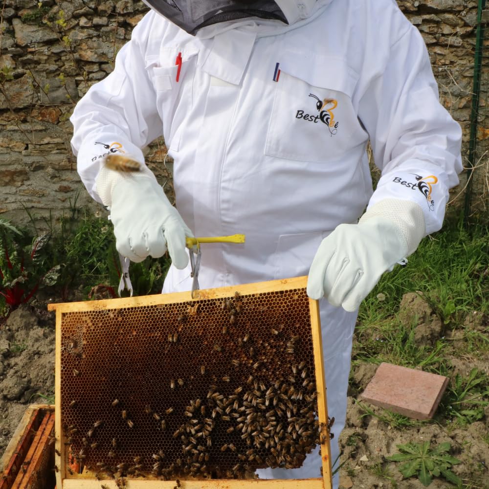 Best Bee - Traje de apicultura, atuendo de apicultor para adultos con guantes de cuero, Traje anti avispas XXXL