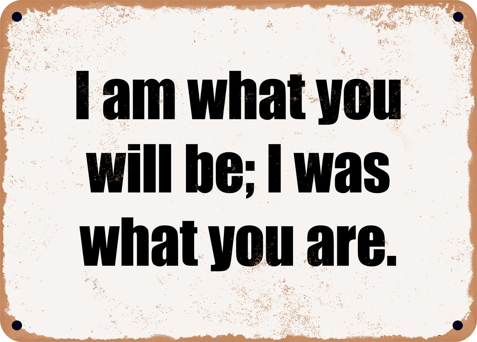 Miaomansenstore Metal Sign - I Am What You Will Be; I Was What You Are Home Decor