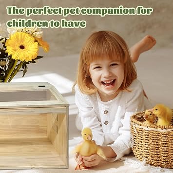 20-Piece Large Chicken Brooder Box, All-in-One Kit Brooder Box, Brooder for Chicks, Quail, Hamsters, Up to 35 Chicks Capacity, Pattern B, 31.5 L x 15.7 W x 15.7 H
