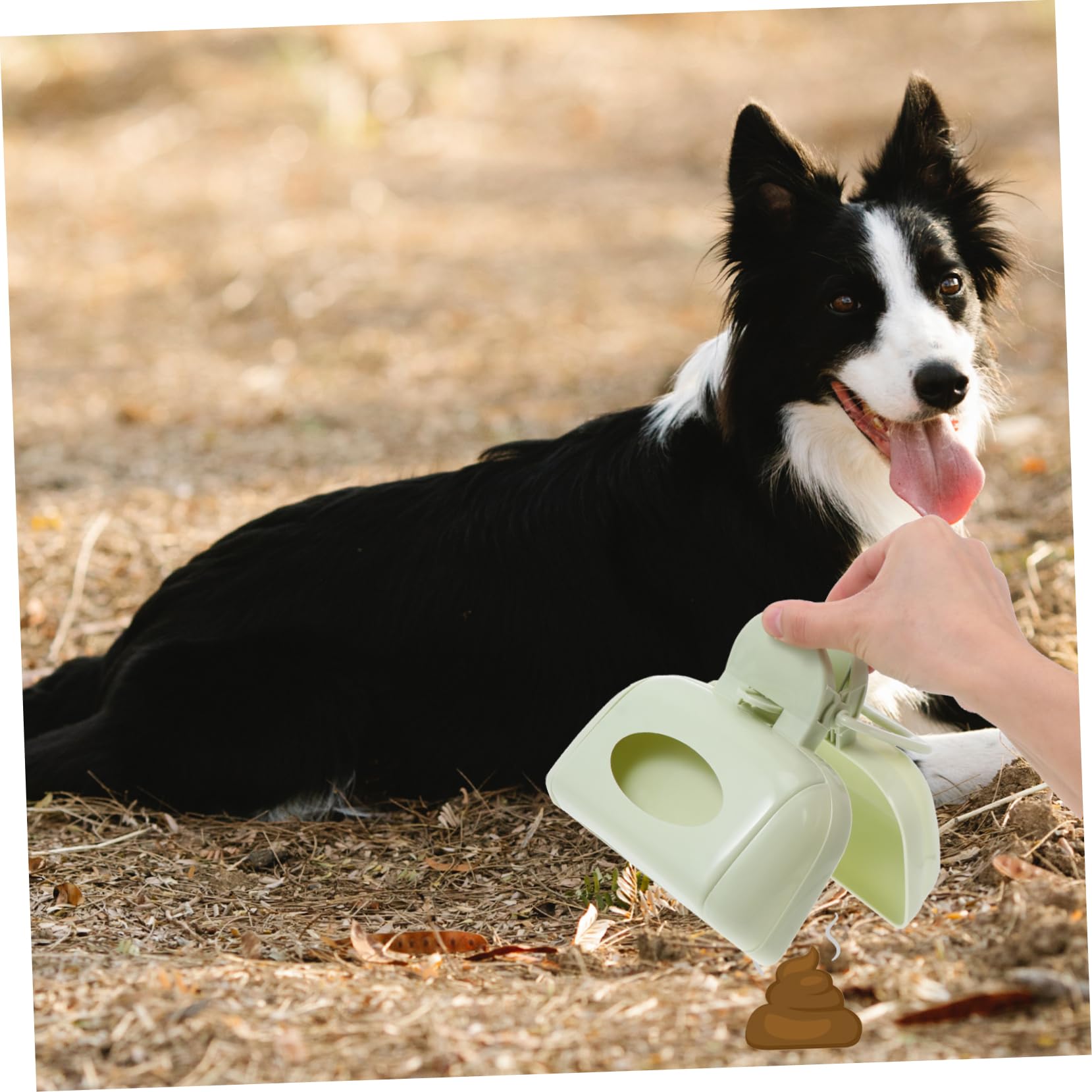 Collecteur de Déchets Animaux pour Chien, Nettoyage Rapide, Lot de 3