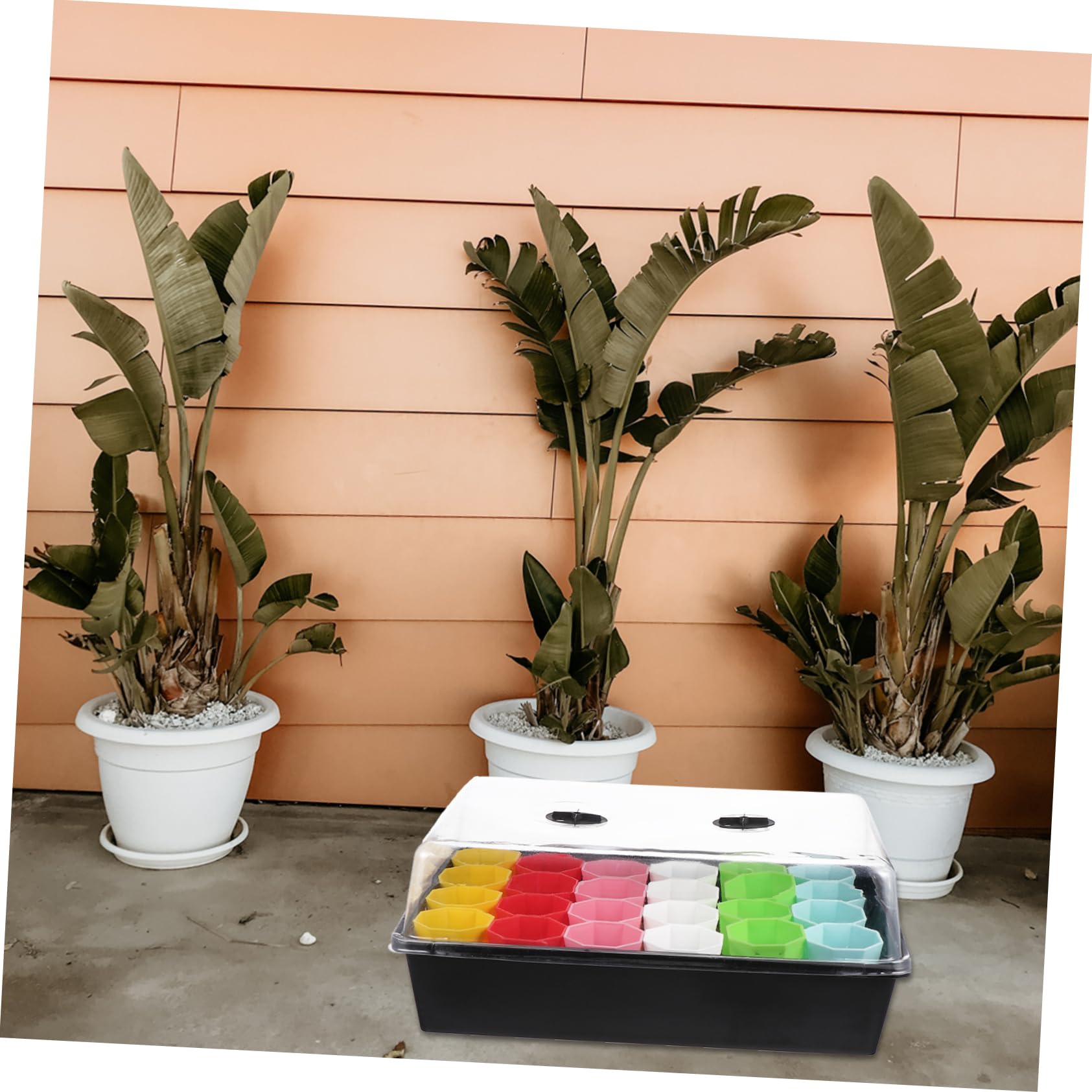 TOYANDONA Plateau de Propagation pour Plantes avec Pot Inclus pour Culture de Semis et Micro-pousses