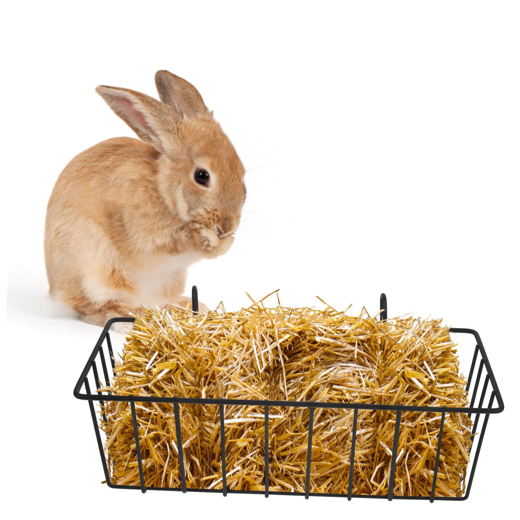 Abaodam Mangiatoia per Conigli Nani 2 Pezzi in Ferro Nero Pieghevole e Versatile Resistente per Gabbie, Scaffali per Cibo per Piccoli Animali per Conigli e Criceti
