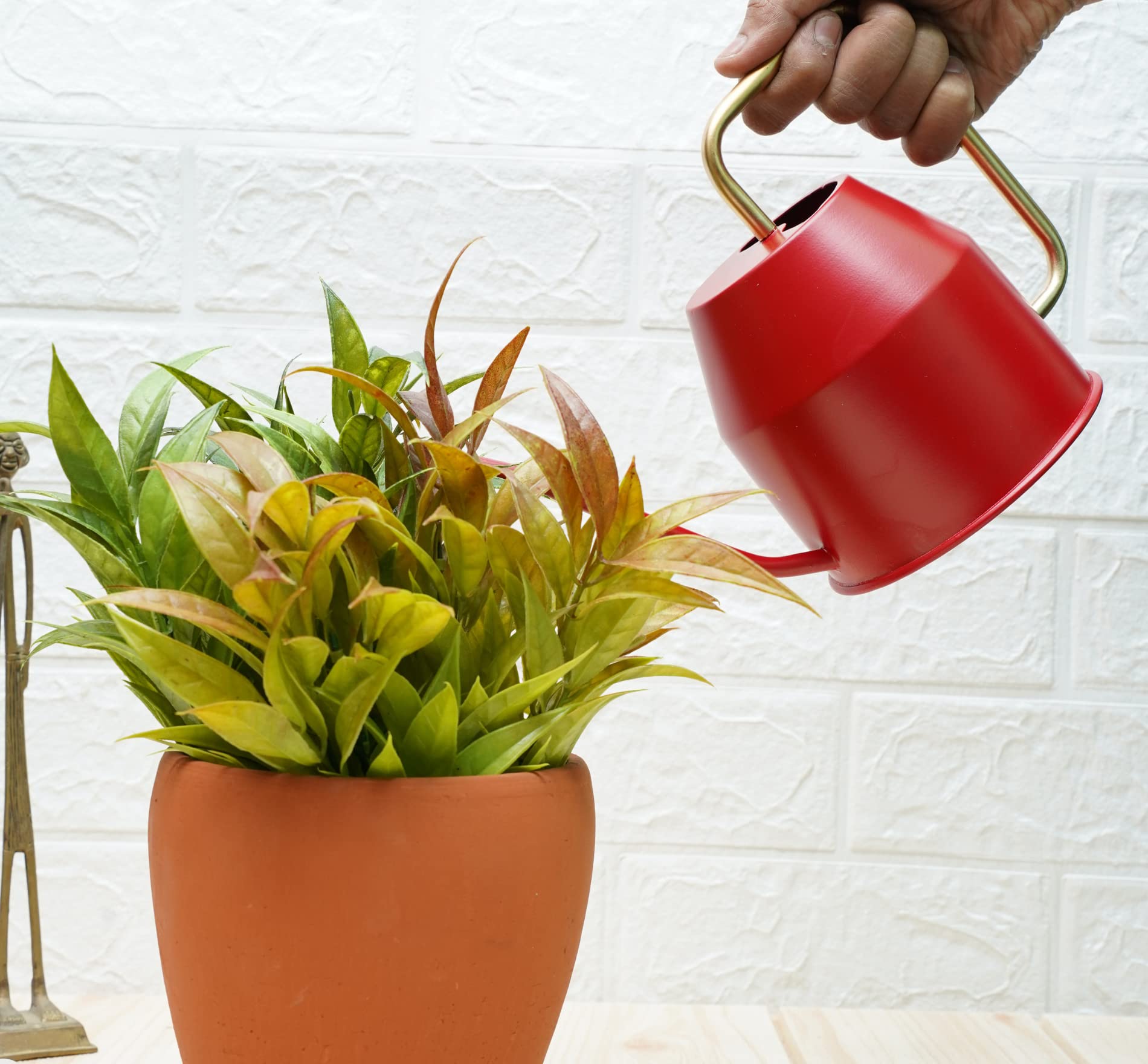 Gold Dust Watering Can for Plants, Plant Watering Can, Garden Watering Can, Water Can for Plants, Watering Cans, Watering Equipment for Garden (Red (0.9 Lt)) (B0BTB14468) Amazon Price History, Amazon Price Tracker