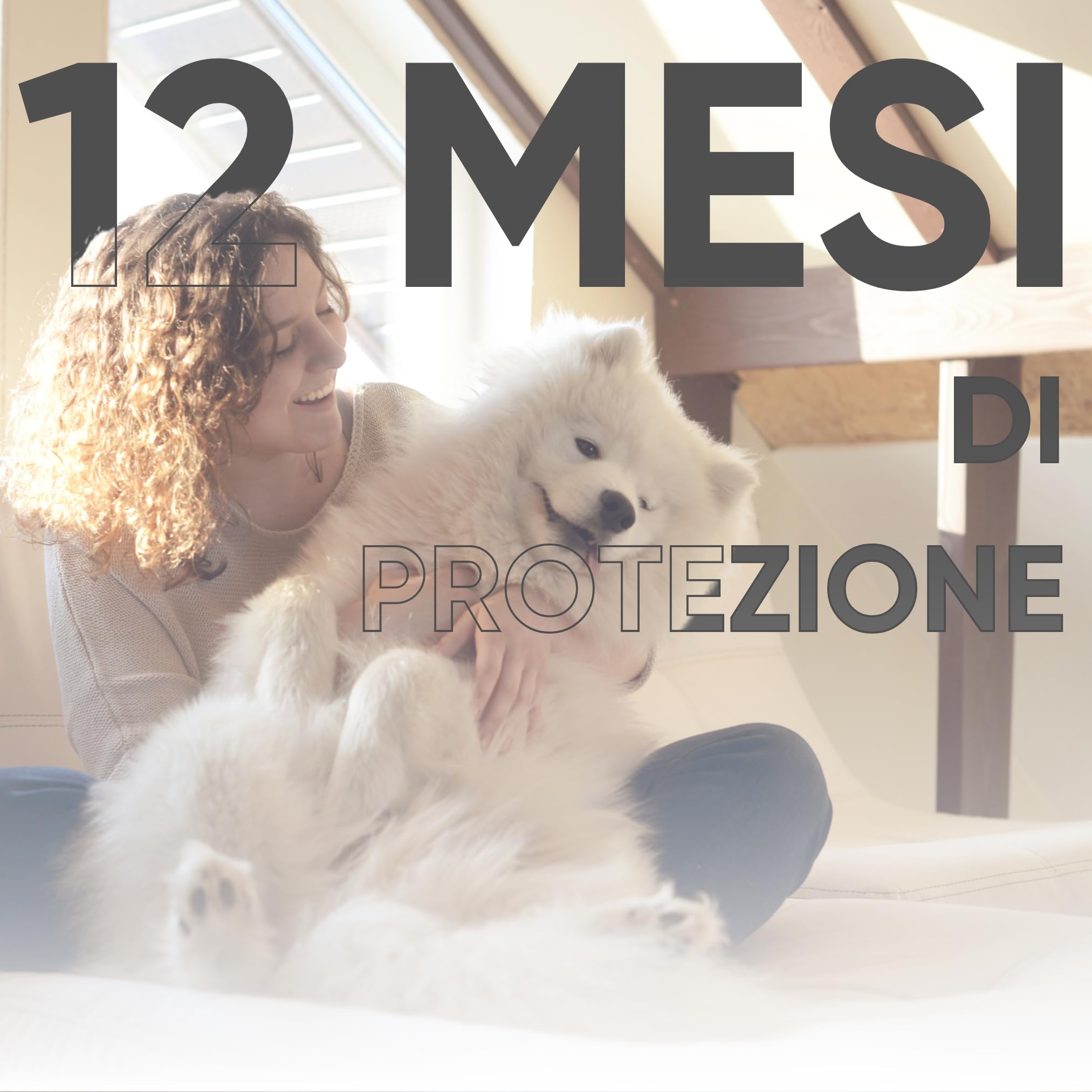 Collare Antiparassitario per Cani - Confezione da 2, Antipulci, Antizecche, Anti Zanzare, Impermeabile, Efficace per 12 Mesi, 65cm per Cani oltre 8kg