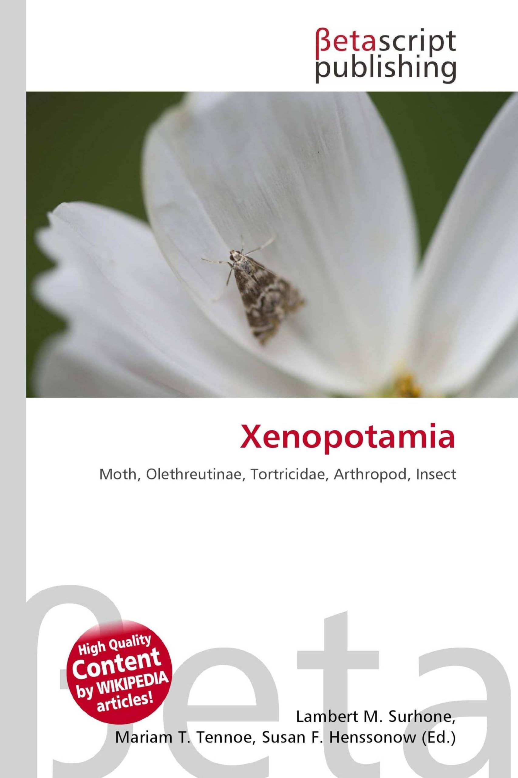 Xenopotamia: Moth, Olethreutinae, Tortricidae, Arthropod, Insect