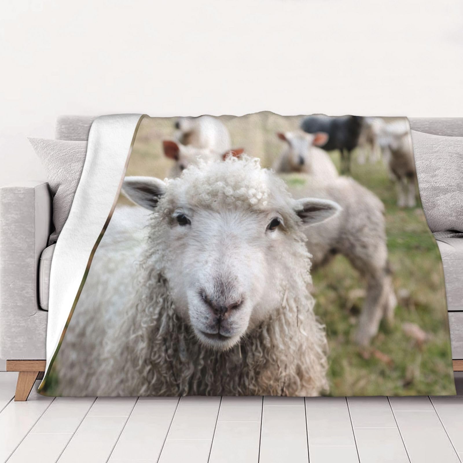 AUBKFELD Cute Sheep Lamb Printed Flannel Blanket 102x76 CM, Soft & Warm Throw Blanket for Sofa/Couch/Bed/Car, Gifts for Audlts Women Men