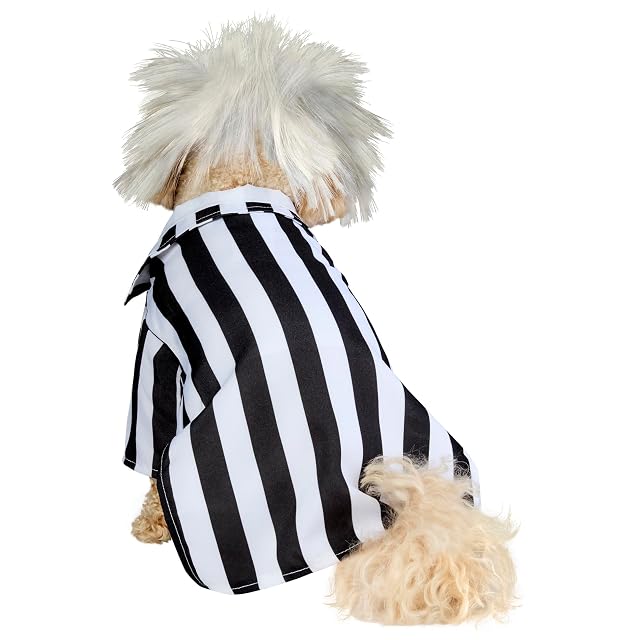 Foto 5 de 6 de Rubie's Disfraz Unisex para Adulto, Disfraz Oficial de Rubie s Beetlejuice de Halloween para Perro, Talla S