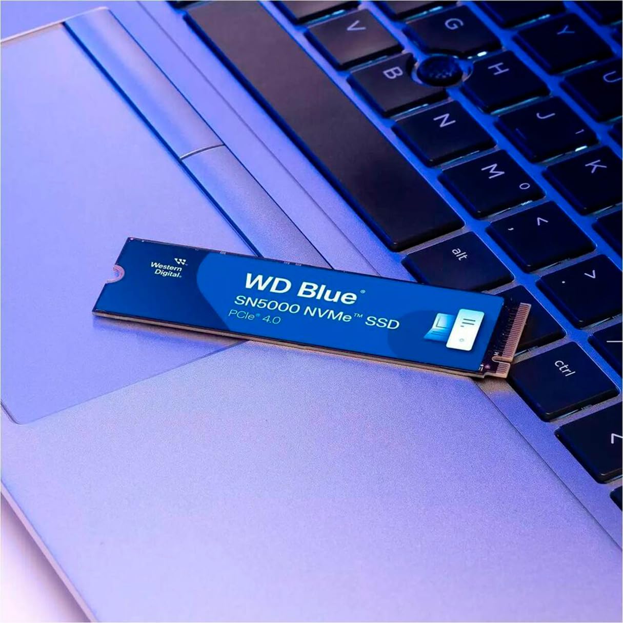 ［未開封］2TB WD Blue SN5000 NVMe SSD WD Blue SN5000 2TB 3D TLC NAND PCIE GEN 4 X4 NVME M.2 Internal SSD