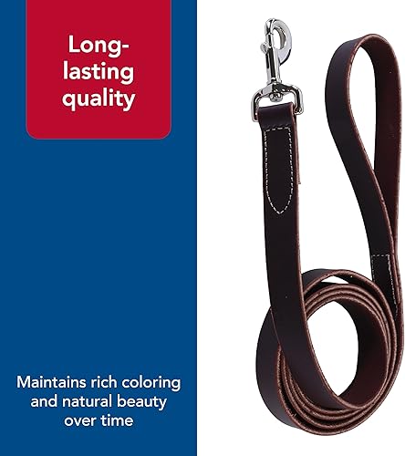 Miniatura 5 de Coastal Pet - Circle T Latigo - Correa de piel para perro - Correa cómoda y resistente a la intemperie para entrenamiento - Perfecta para cachorros