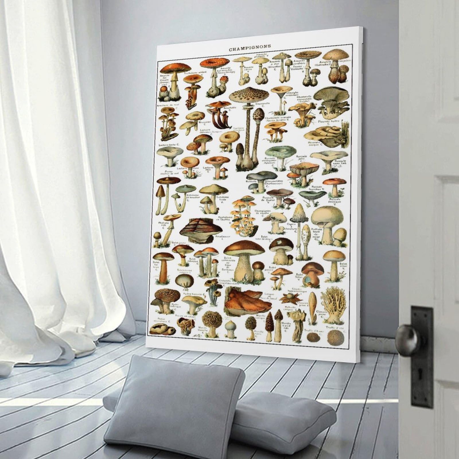 Junmoney Vinatge Mushrooms Canvas Art Print 12x18inch(30x45cm), for Front Hall, Corridor Or Welcome Spaces, Home Artwork for First Impressions
