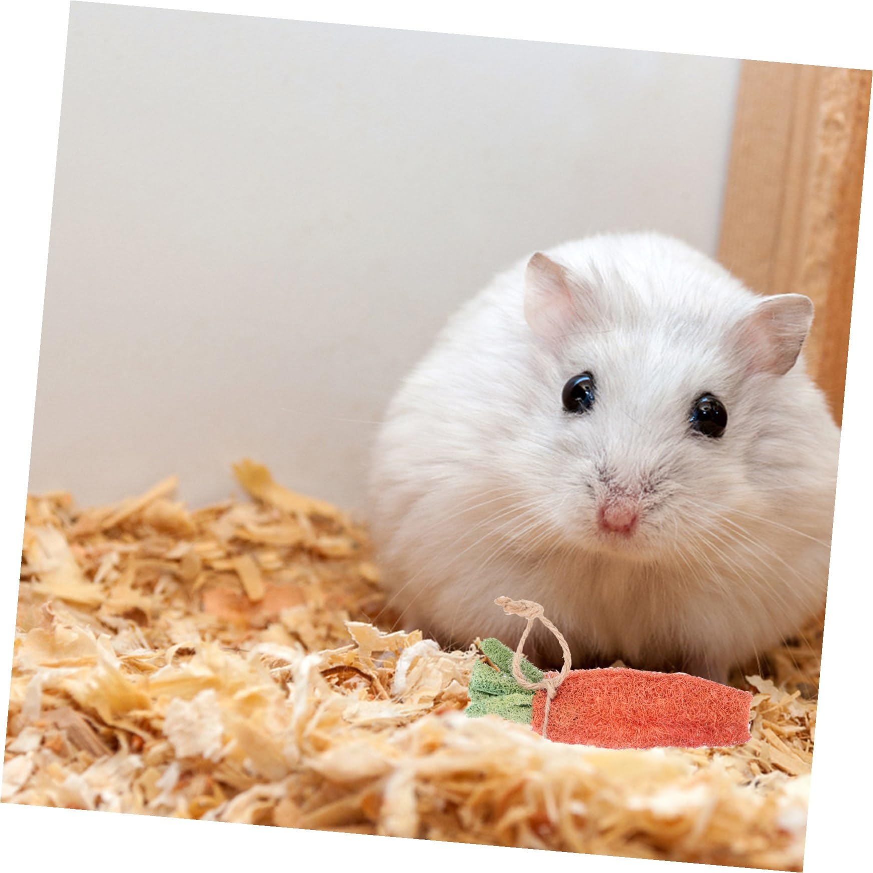 BESPORTBLE 8pièces Jouets à Mâcher pour Lapins Friandises pour Hamsters et Chinchillas Jouets Intérieur pour Petits Animaux Lot