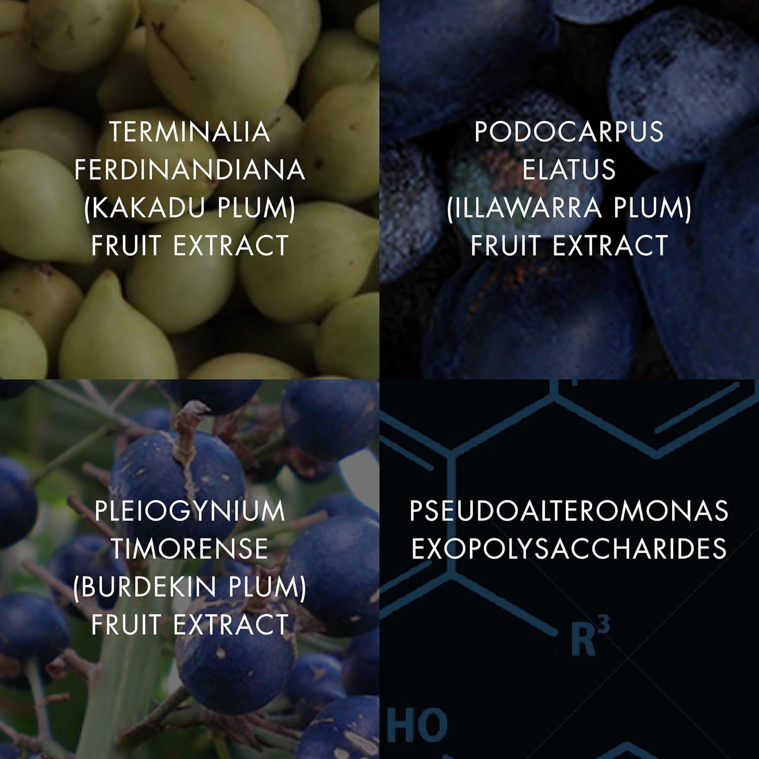 Bioelements Plump Start - 2 fl oz - Skin Plumping Serum to Improve Fullness & Smooth Fine Lines - Includes Collagen-4 Complex - All Skin Types - Vegan, Gluten Free - Never Tested on Animals