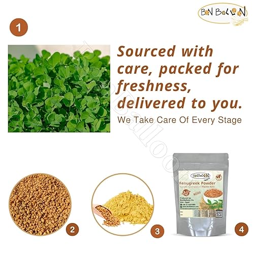 Miniatura 5 de Pure & Natural Fenugreek Ground Powder Dried Natural Herbal Herb Herbs Tea Cooking Seasoning Spice Spices Trigonella Foenum Graecum Genisteae Kosher