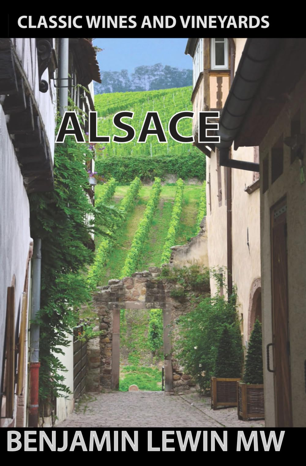 Alsace (Guides to Wines and Top Vineyards)