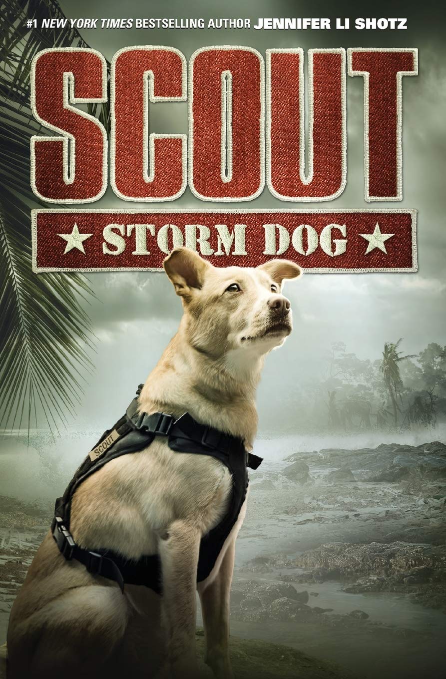 HarperCollins Scout: Storm Dog