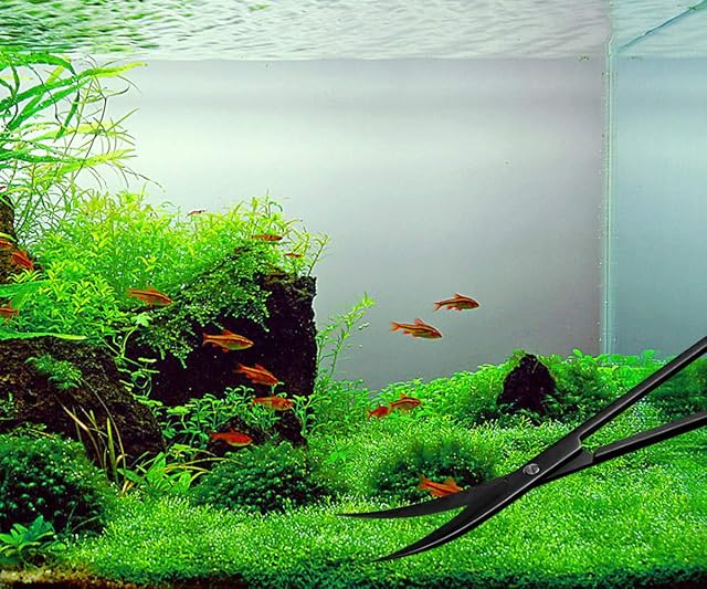 Foto 2 de 8 de Hexint 5 en 1 Acuario Aquascaping Kit de Acero Inoxidable Acuario Tanque de Peces Acuáticas Herramientas…