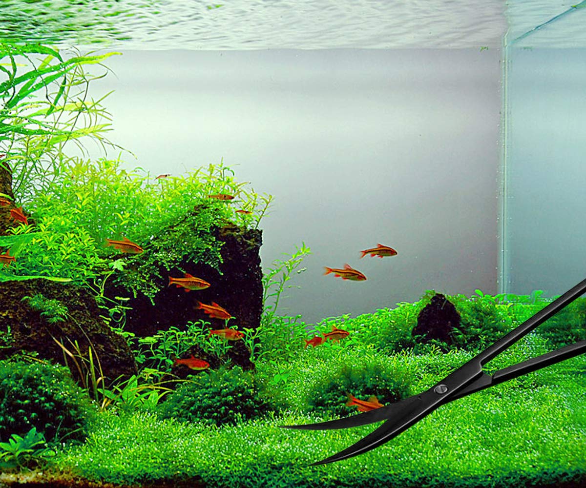5 in 1 Acquario Aquascaping Kit in Acciaio Inox Acquario Acquario Pesci Serbatoio Piante Acquatico Pinzette Forbici Spatola Set Nero