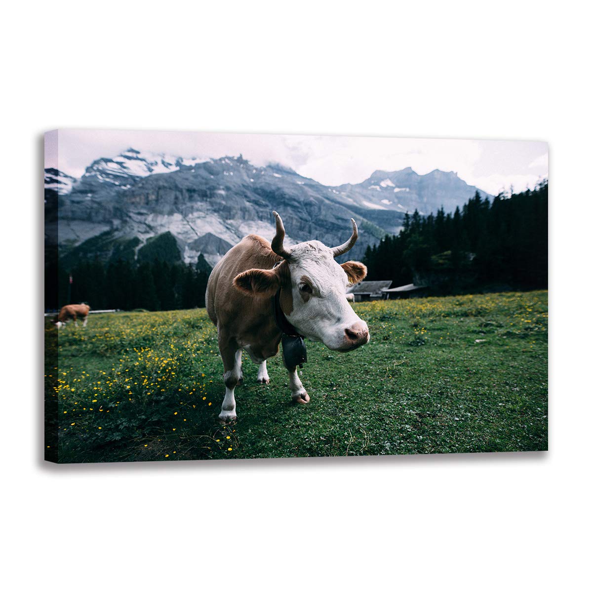 Toile vache des Highlands 80x120 cm décoration grand format pour salon
